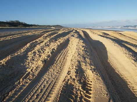 Reifenspuren am Strand von Fraser