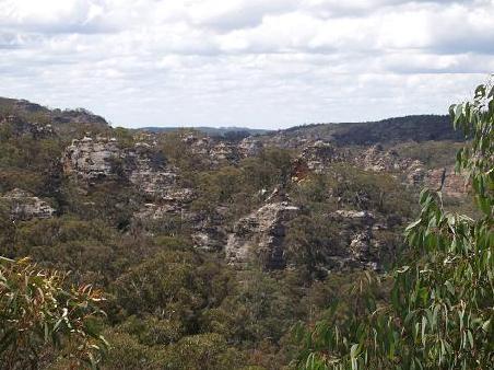 Landschaft in den Blue Mountains