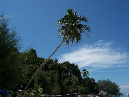die Bucht neben Coral Bay... hier liegen die Chalets Mamas Place und Abdul, die sehr schön, aber auch verhältnismäßig teuer sind.