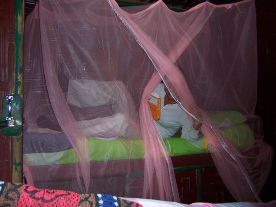 Der Bungalow für 2Personen mit Fan, Moskitonetz (WICHTIG!) und eigener Duschkabine kostet 22RM