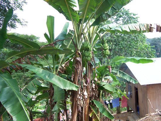 Hier befand sich das Internet-Café - unglaublich, aber wahr.