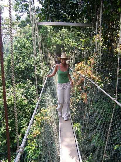 Der Canopywalk in ca. 40m Höhe, quer durch die Baumgipfel. Da gabs immerhin ein wenig Luft! Und einen Wahnsinnsausblick...