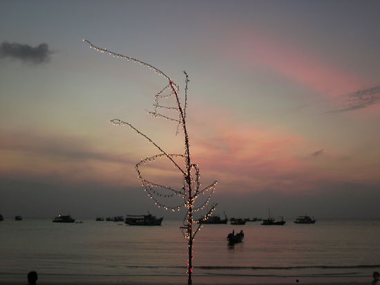 Deshalb fallen die Weihnachtsbaeume hier wohl auch so spaehrlich aus  mehr Lichterkette als Baum