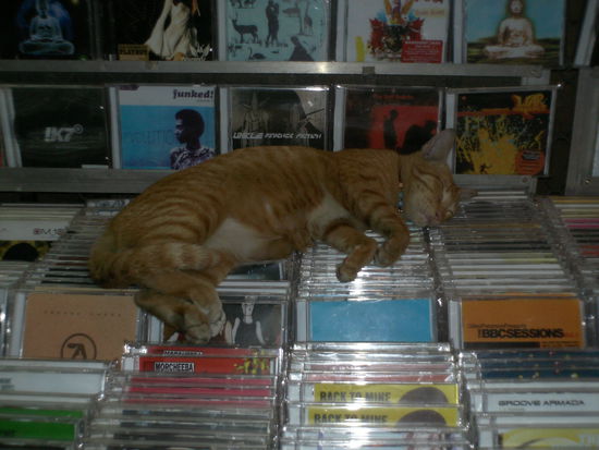 muede geworden auf der Khao San Road ;-D