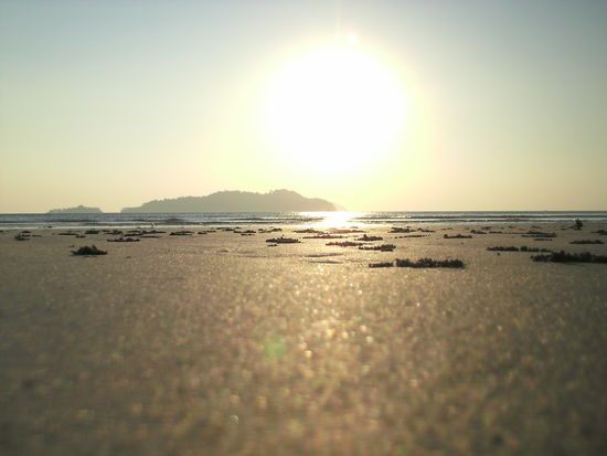 an diesem einsamen Strand kann man sogar noch Krebse beim Buddeln beobachten