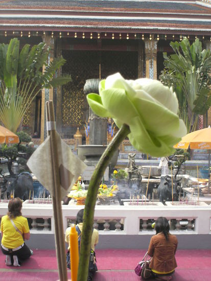 Weihnachtsgottesdienst einmal anders mit Blumenniederlegung zu Fuessen des Buddhas, Raeucherstaebchen und Kerze zum Anzuenden und Gold zum Draufdruecken auf Buddhafiguren