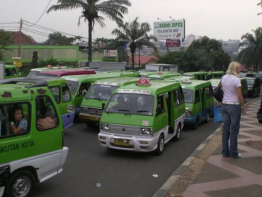 die grünen Busse