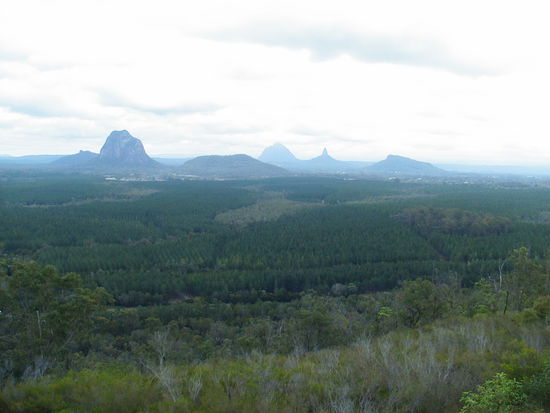 Blick vom Wild Horse Mt Lookout von wo man wie der Name schon sagt wilde Pferde sehen kann.
Zu den Bergen im Hintergrunde gibt es noch ne Dreamtime Stroy die ich leider nicht mehr weiss. Die Abroigines (Eingebohrenen) hatte zu allem moeglichen sogenannte Dreamtime Geschichten, mit denen sie versucht haben Dinge zu erklaeren, die sie sich selbst nich erklaeren konnten. Wie diese Berge, wo es ringsherum kilometerweit nur eben ist.