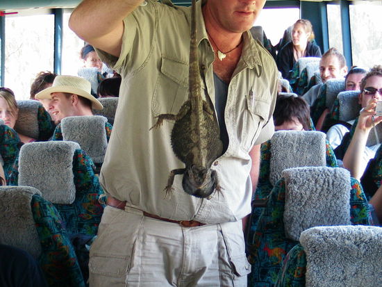 Das Viech hat der Busfahrer am Strassenrand gesehen und gleich mal in den Bus geschleppt.