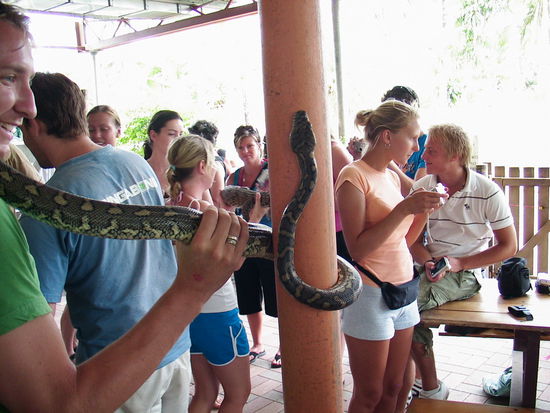 Schlangen gab es natuerlich auch noch