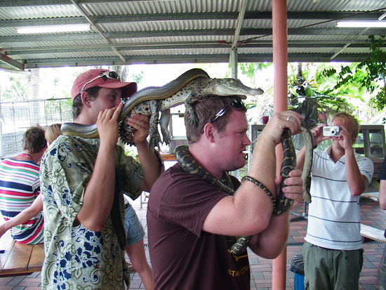 manche kriegen gar nicht genug von dem Zeug