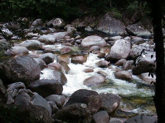 Hier gibt es das zweitsauberste Wasser in Australien. Irgendwelche Dinge (Bakterien) im Wasser reinigen es unentwegt