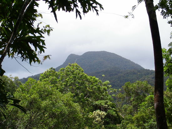 Wer erkennt das Gesicht das gen Himmel schaut?