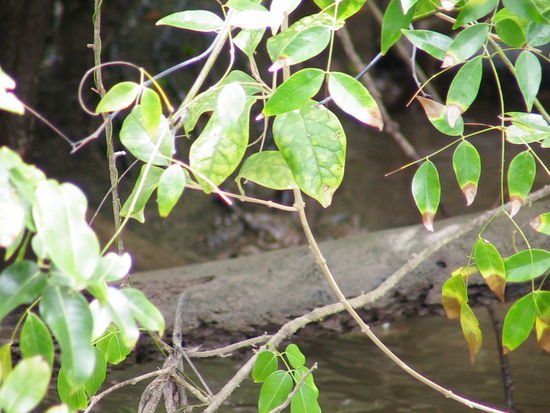 Wer sieht es?
Es sieht auf jeden Fall uns!