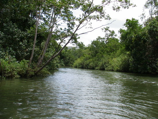 Wie lange wuerde es wohl dauern bis einen ein Krokodil hier im Wasser am Fuss rumknabbert?
nicht lange!