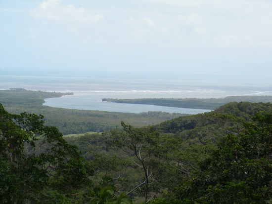 Hier sieht man schoen wie der Mangroven Fluss auf dem wir fuhren ins Meer muendet.