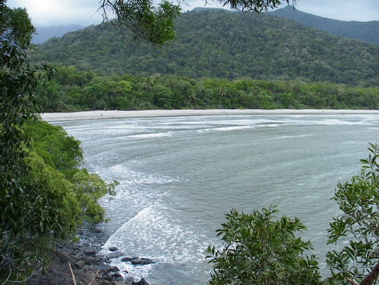 Cape Tribulation Beach