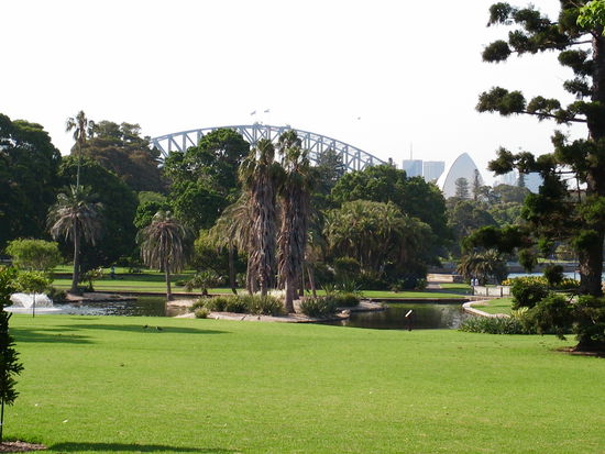 Blick vom Royal Botanic Gardens auf Oper und Harbour Bridge