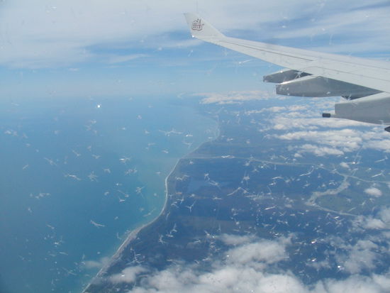 Hier ueberfliege ich gerade die Westkueste von NZ