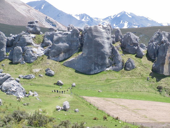 Kura Tawhiti
Conservation Area