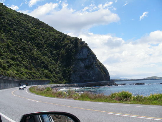 Auf dem Weg nach Kaikoura an der Ostkueste