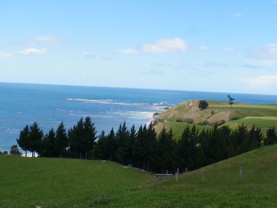 Hier kann man gut Wale beobachten (siehe nachfolgende Kapitel)