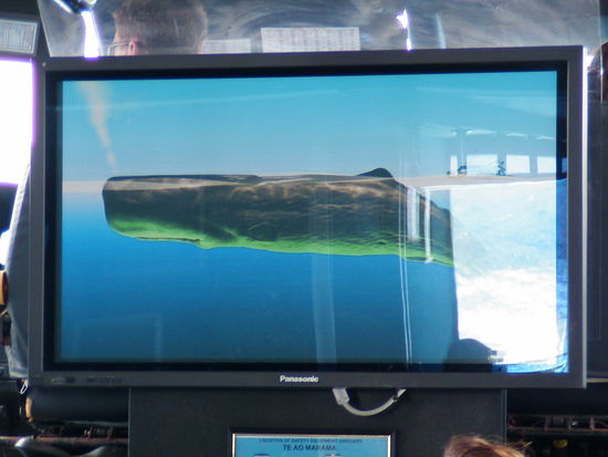 man sieht nur das ober Ende mit dem Blasloch und der Rueckenflosse.