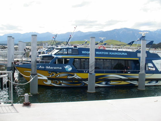 Das war das Boot (es hatte einen speziellen leisen Antrieb um die Wale nicht zu veraengstigen)