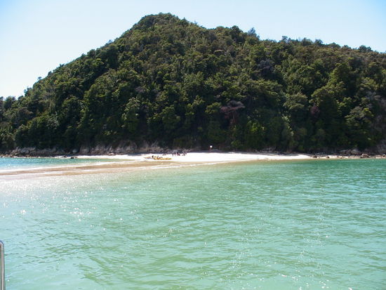 Sandbank mit Stingrays