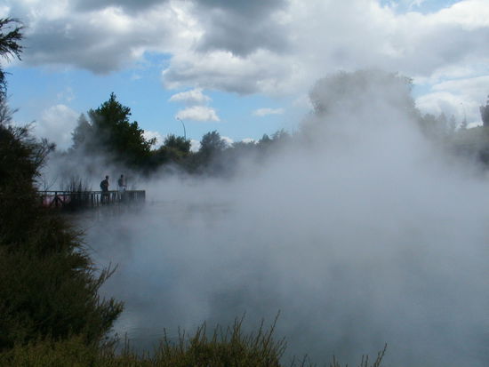 Rotorua: ueberall dampft es