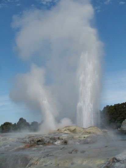 Pohutu Geyser in Aktion (Bis zu 30 Meter hoch!)