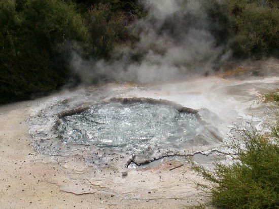 Ngarartuatara - Coocking Pool
