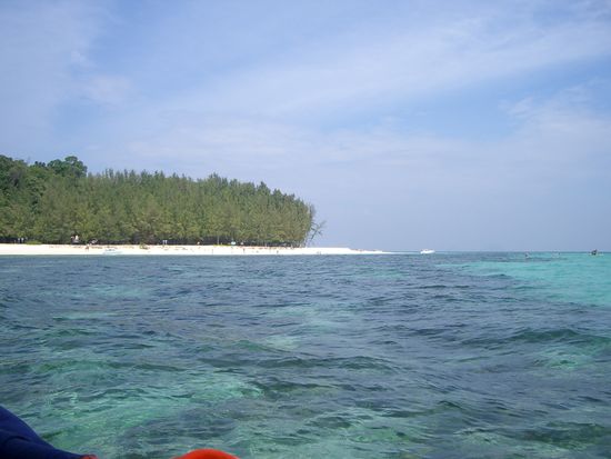 Bamboo Island