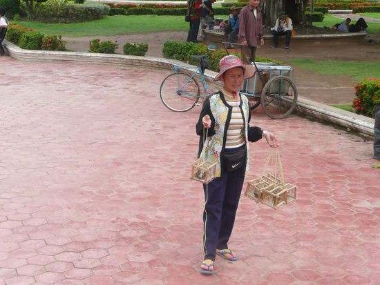 in den Kaestchen sitzen Piepmaetze, die man kaufen und frei lassen kann, soll Glueck bringen. Wir vermuten das Brieftaubenphaenomen: Kehren zum Besitzer zurueck