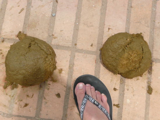 Preisfrage: Was ist das? Die Antwort "mein Fuss" zaehlt nicht, der dient nur zum Groessenvergleich 