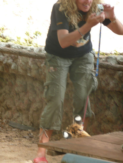 das fand ich echt herrlich, da hat das Tigerbaby versucht die Fototante anzuknabbern