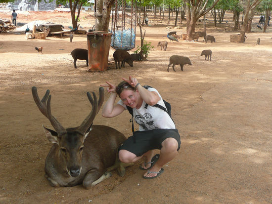 Behoernte Verwandschft 