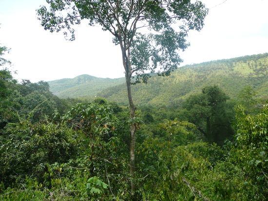 Ausblick Richtung Ebene