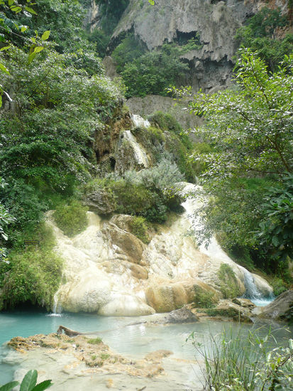 das ist der oberste Pool - ohne Fische...