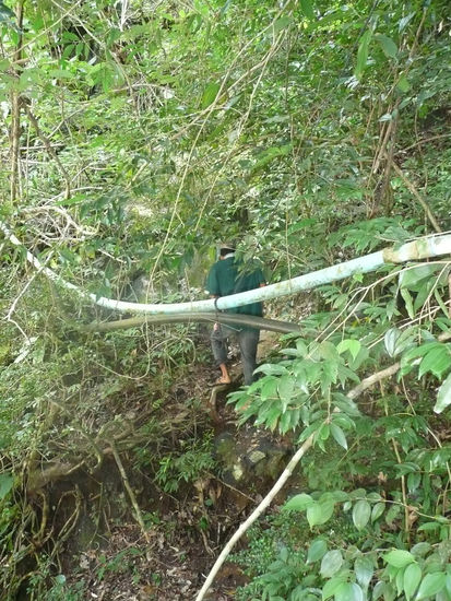 mein einheimischer Mitstreiter