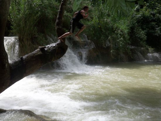 wunderbar von Baeumen in die Fluten springen konnte...