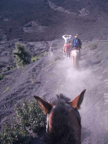 KJ hat sich lieber ein Taxi genommen. Der Aufstieg zu Mirador in Semuc Champey hatte ihr als Wanderausflug gereicht.