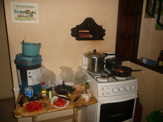 Die Einkäufe vom Markt hat Sylvie im Hostel verarbeitet. Kokos-Curry mit Fisch und dazu Guacamole, yum