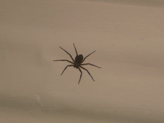 Eine - naja - 37 - geht gar nicht!