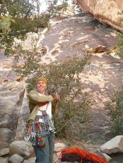 ... Unmengen an Klim-bim, Sylvie sieht aus wie ein Weihnachtsbaum