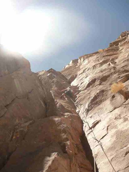 Traumhafte Verschneidung