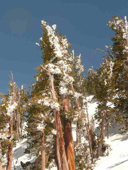 Wunderschönes Panorama abseits der beliebten Wege