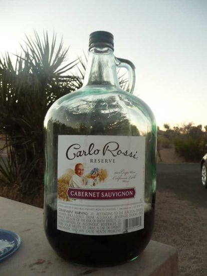 Hat Sylv versucht auf Ex zu trinken  Manu musste helfen