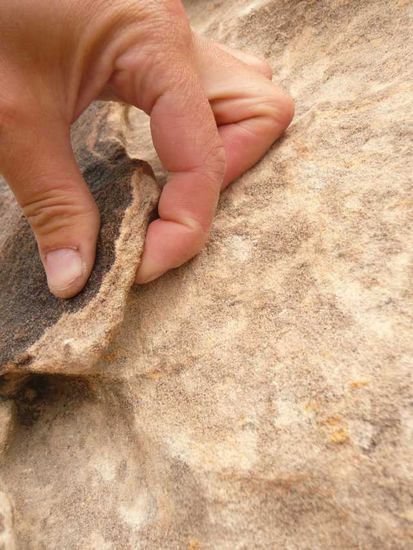 Das schwarze Zeug nen man "varnish" - felsenfest 