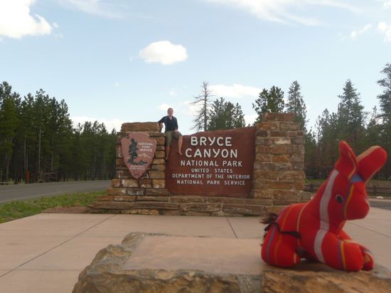 Welcome to Bryce....